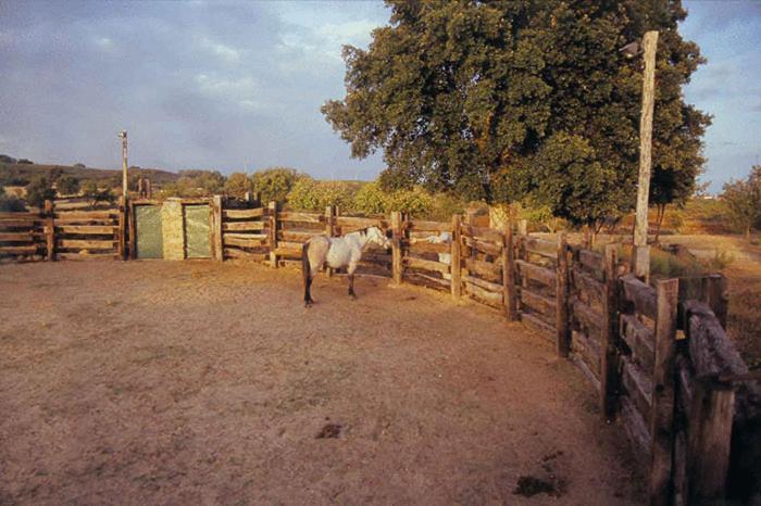 Casa Rural Finca Valvellidos Хараис-де-ла-Вера Экстерьер фото
